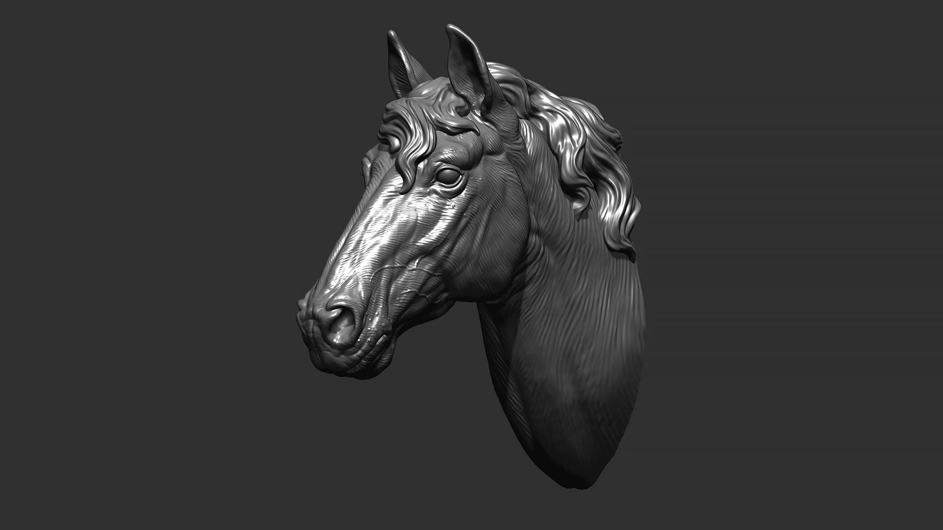 Horse with a mane 3D print model_24