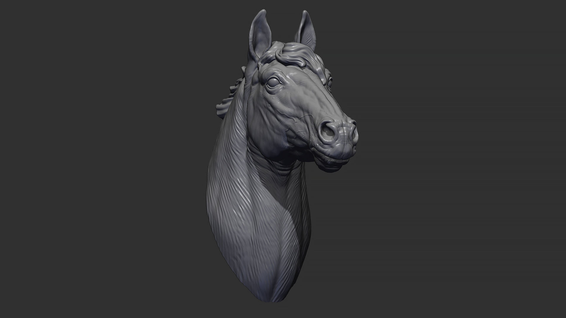 Horse with a mane 3D print model_1