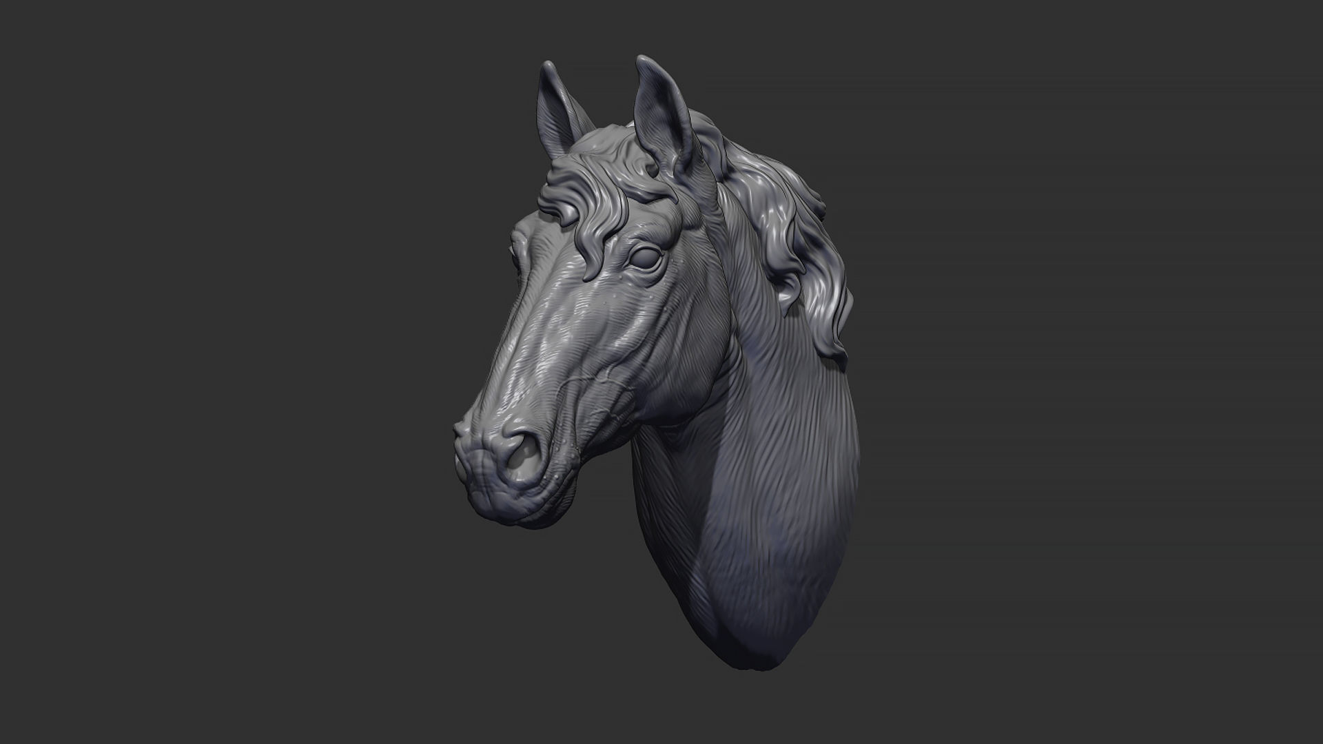 Horse with a mane 3D print model_6