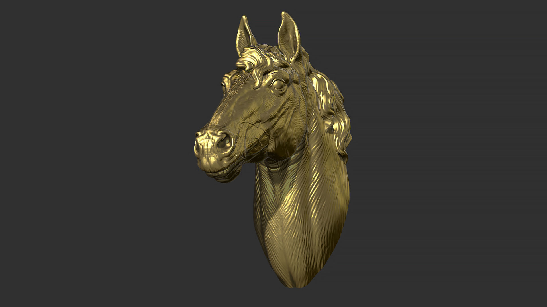 Horse with a mane 3D print model_8