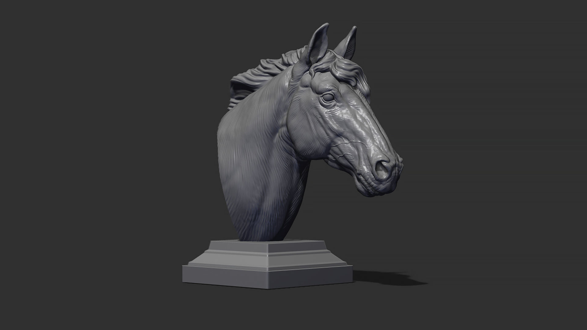 Horse with a mane 3D print model_21