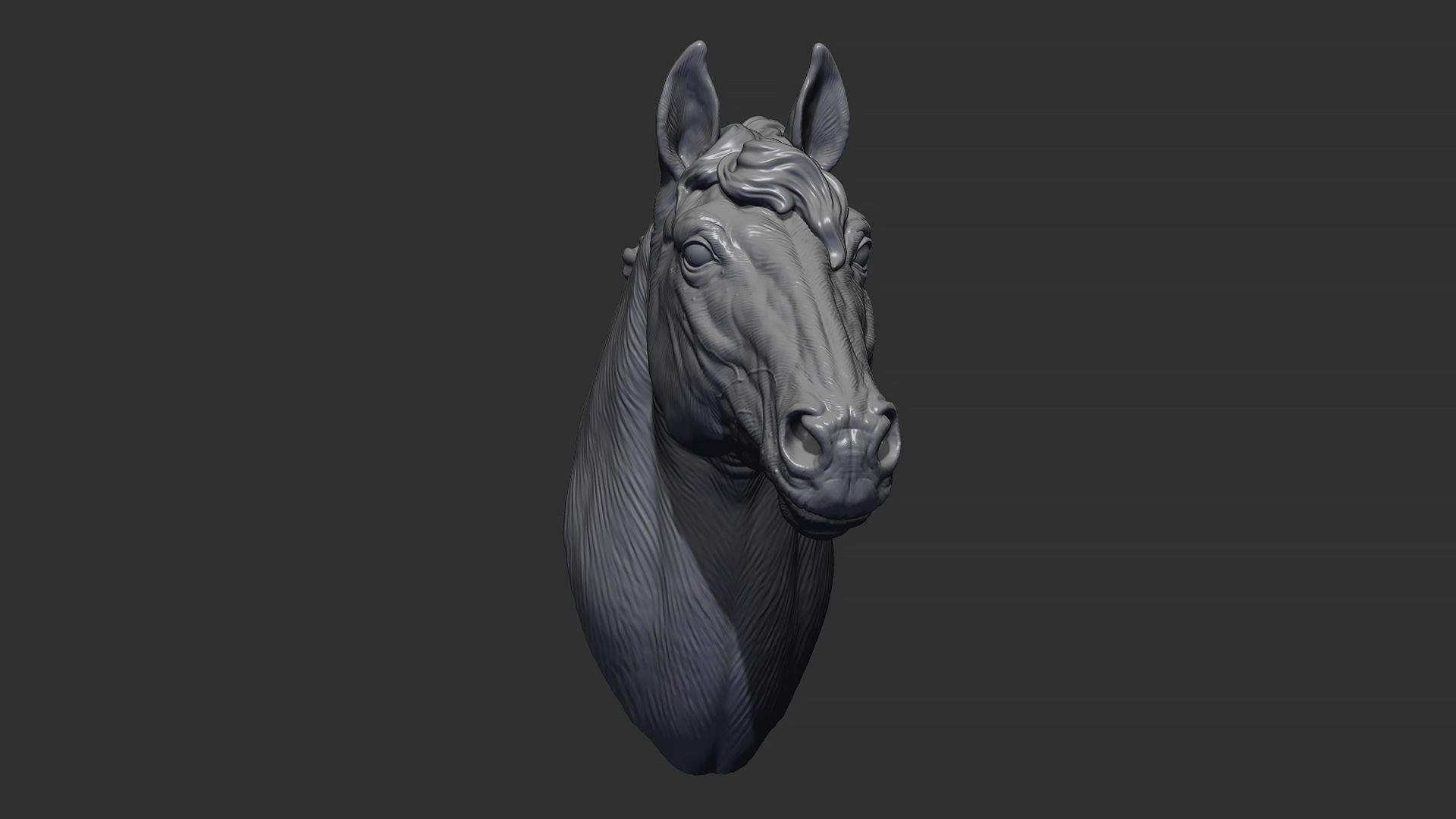 Horse with a mane 3D print model_5