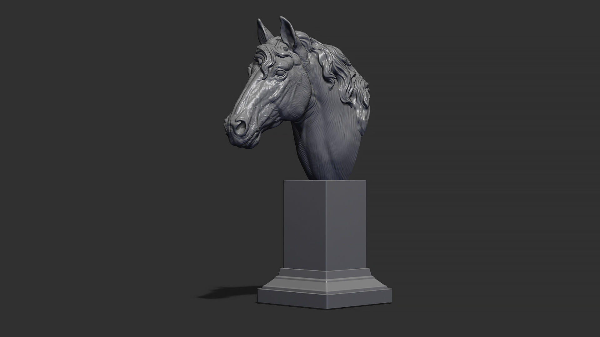 Horse with a mane 3D print model_15