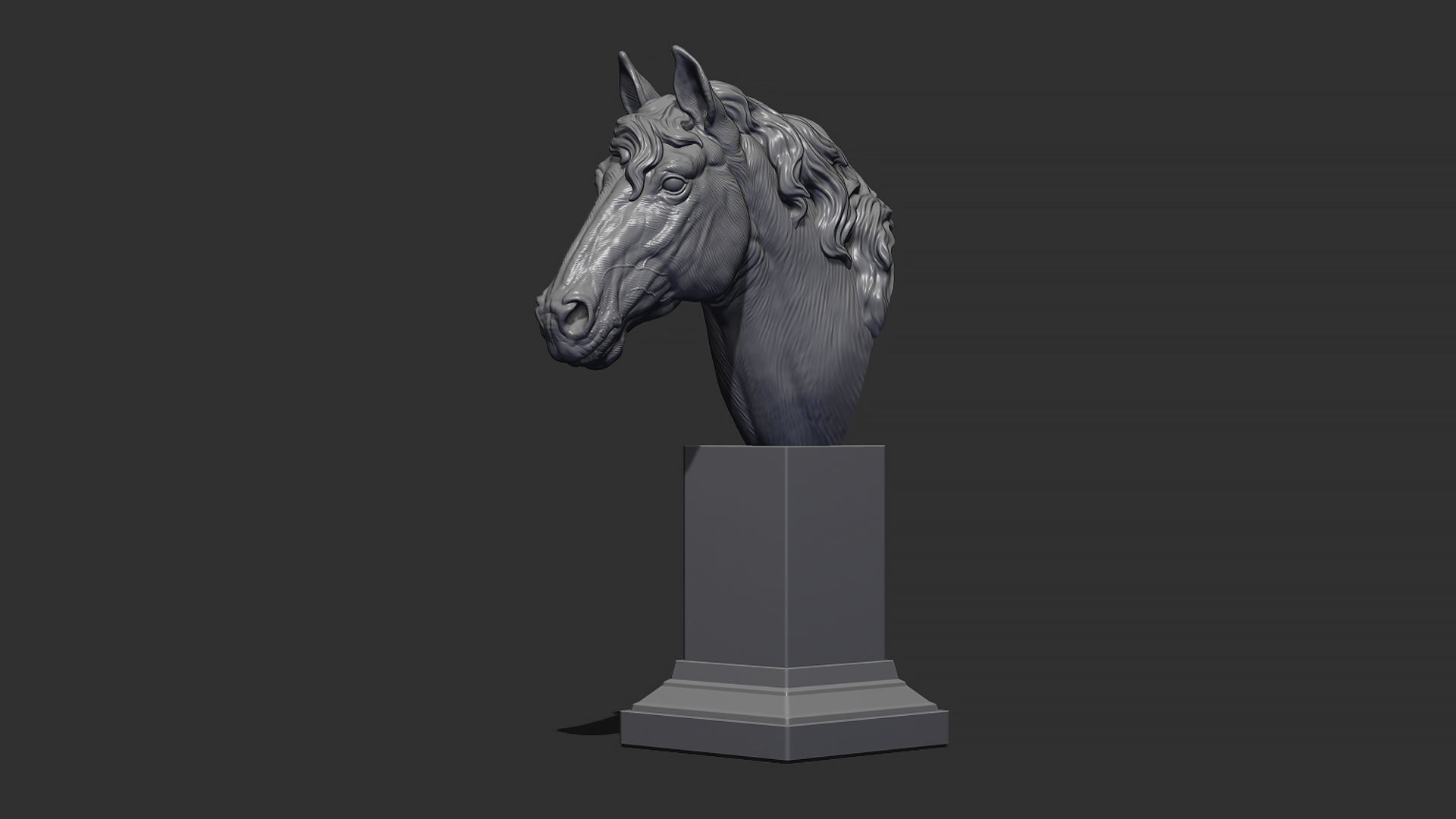 Horse with a mane 3D print model_11