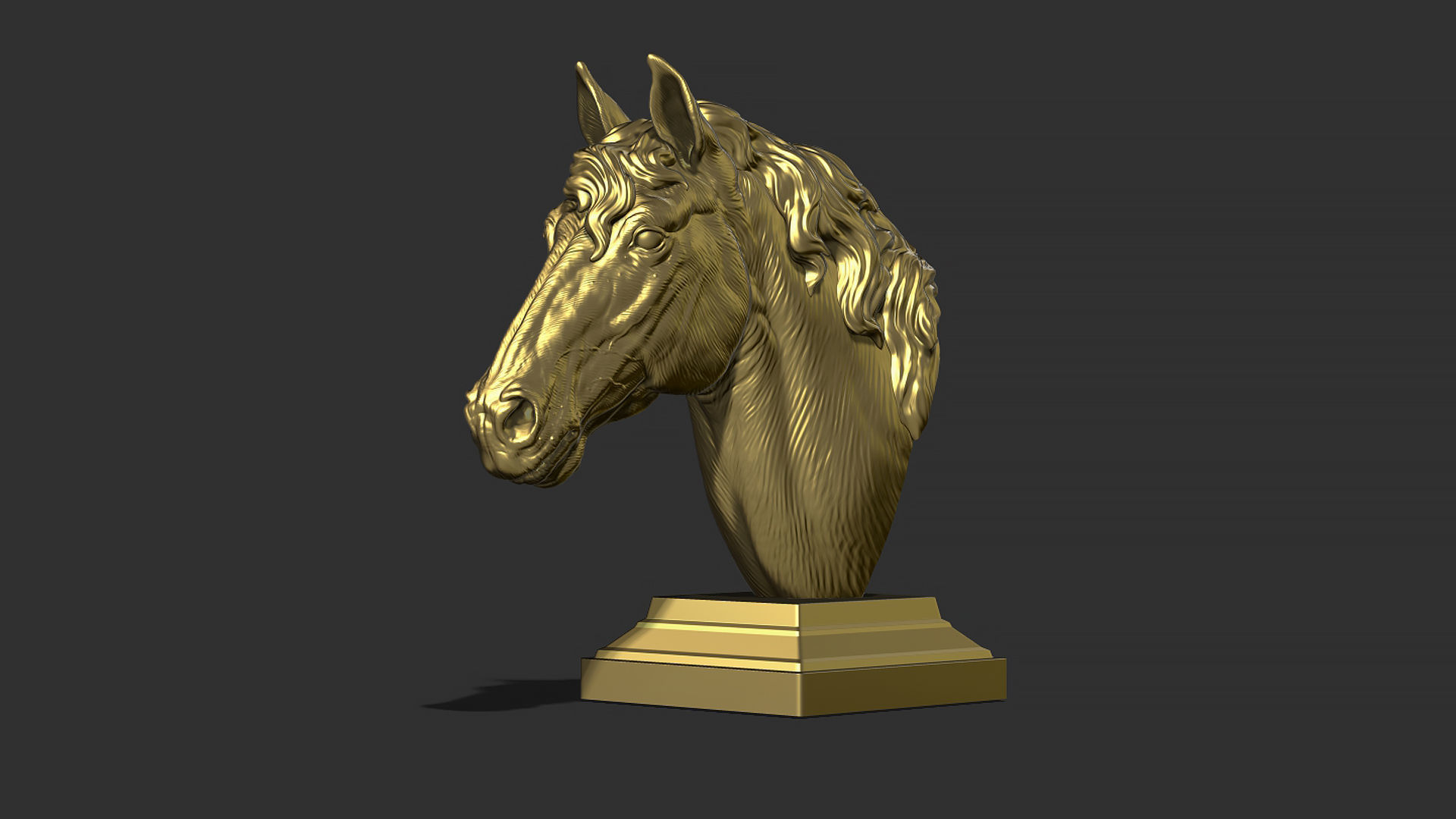 Horse with a mane 3D print model_23