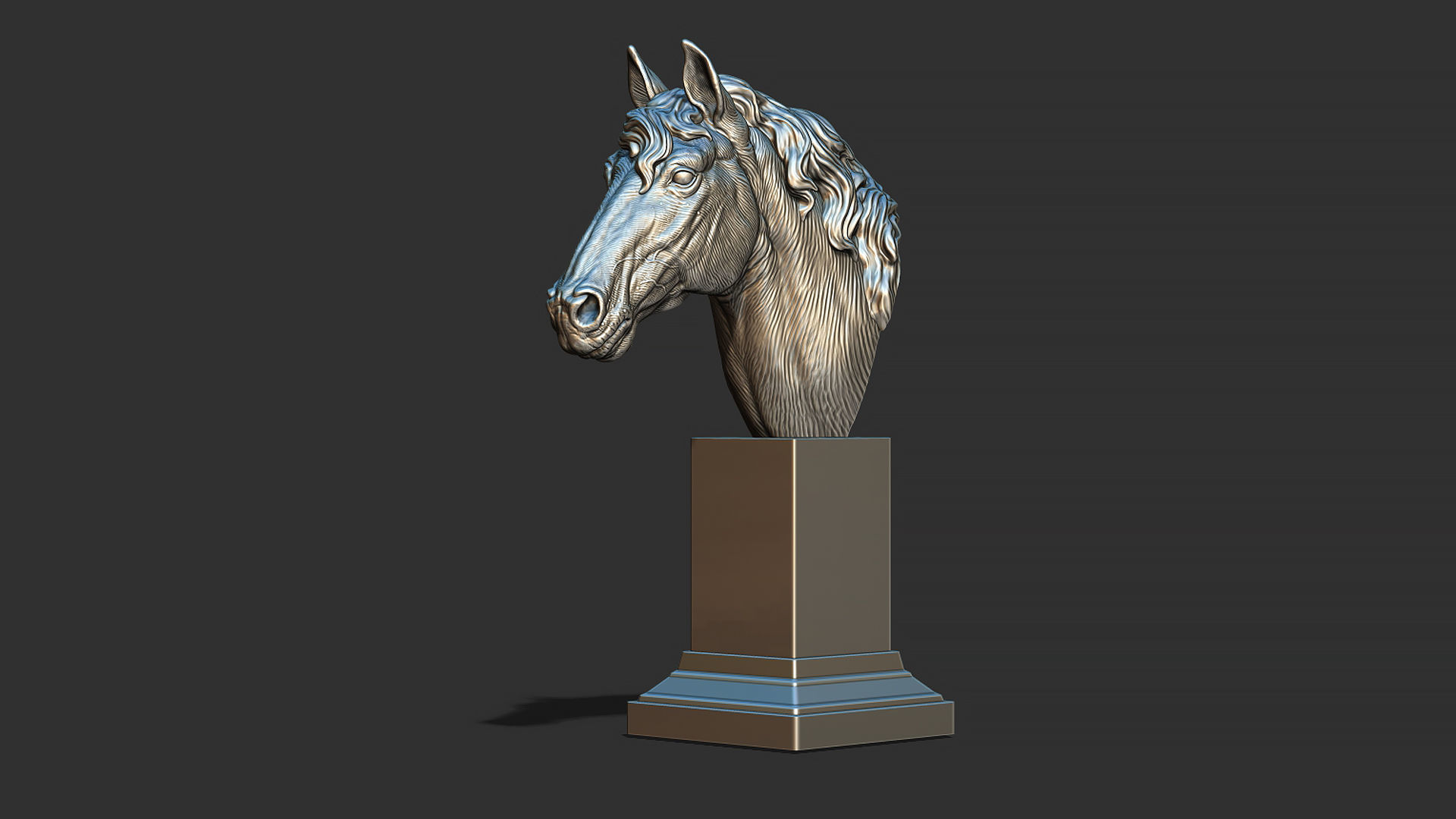 Horse with a mane 3D print model_16