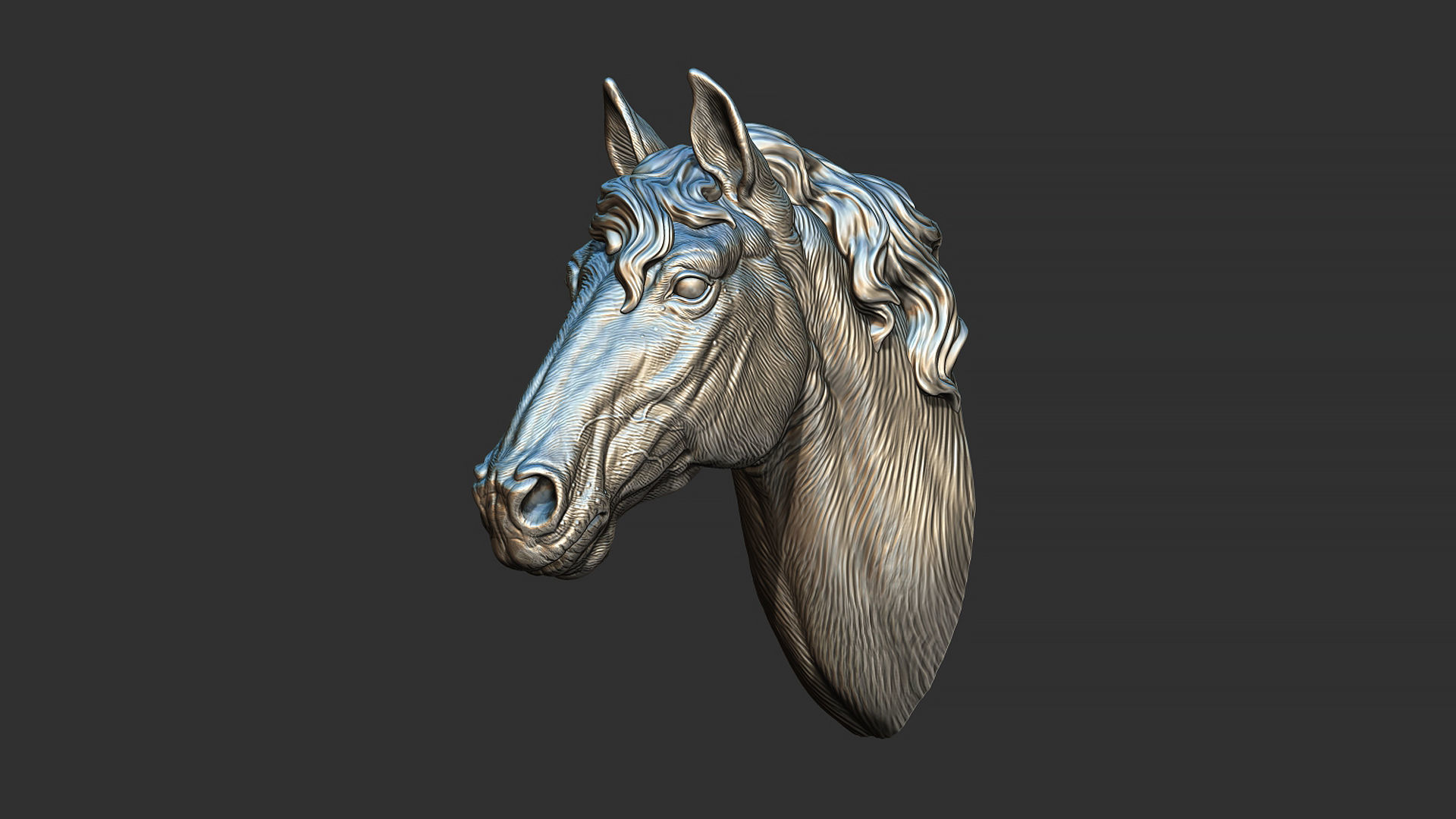 Horse with a mane 3D print model_10