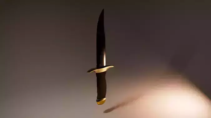 Dague sword with light shining