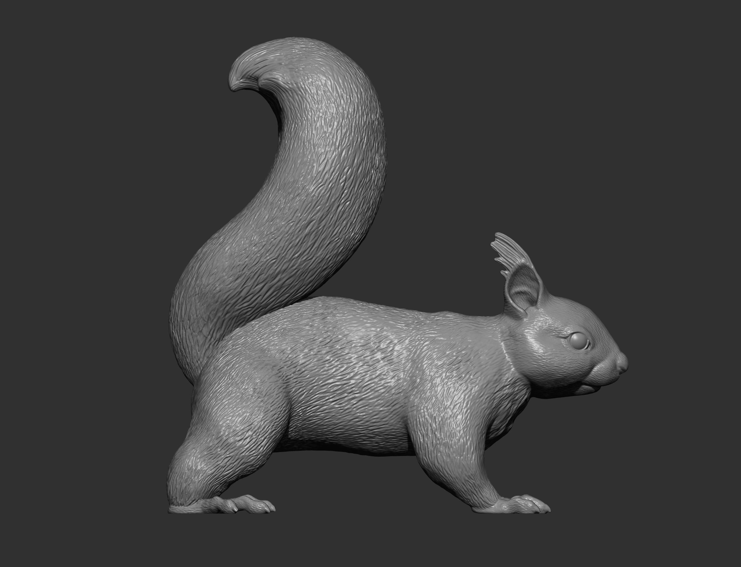 Squirrel 3D print model_7