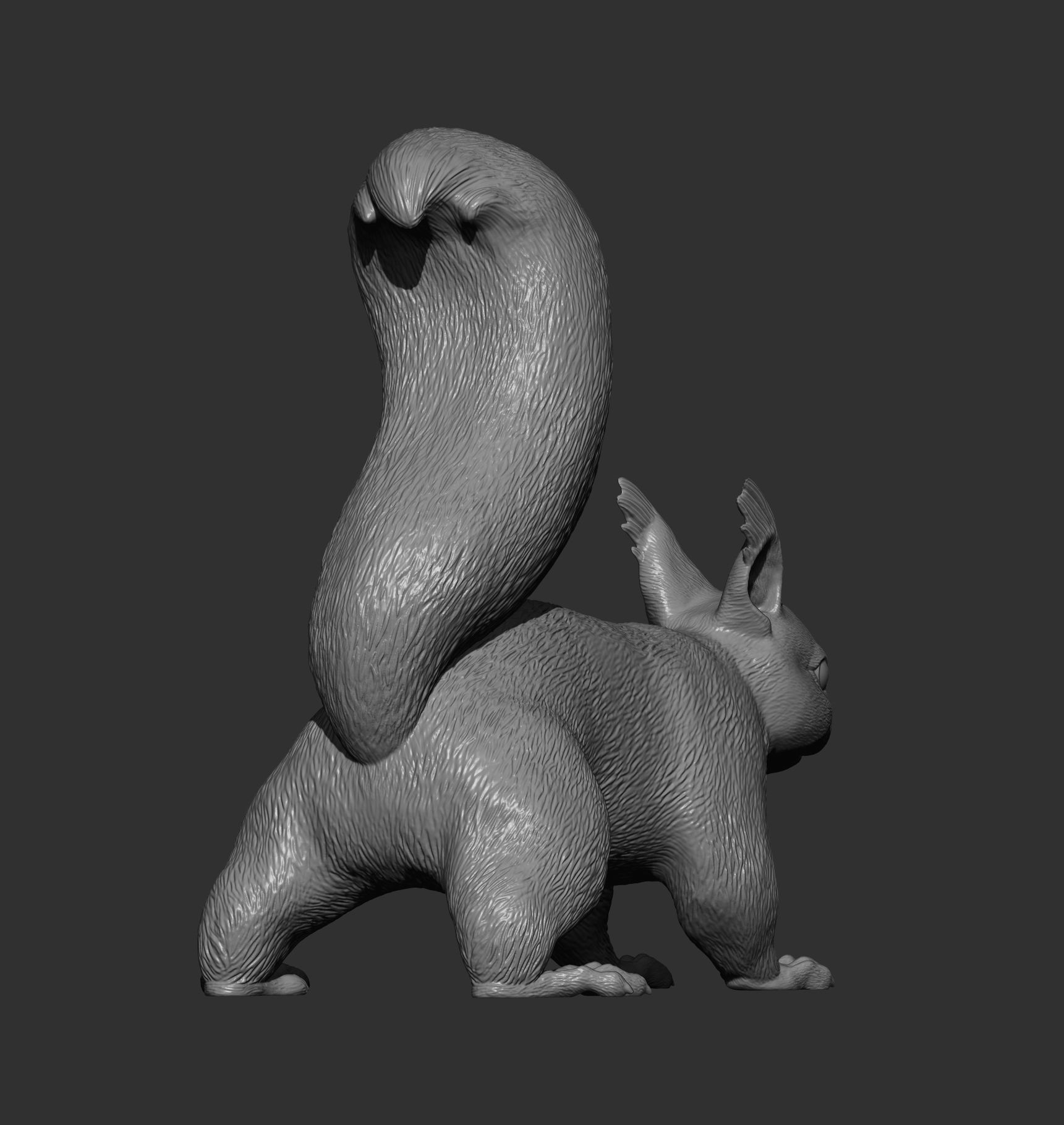 Squirrel 3D print model_9