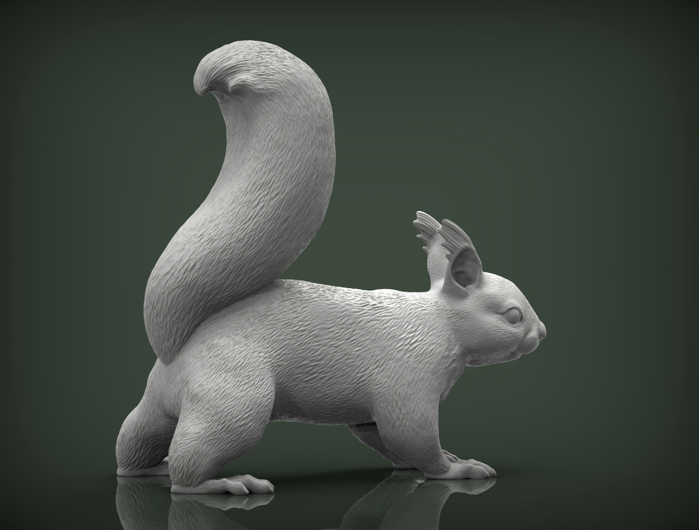 Squirrel 3D print model_3