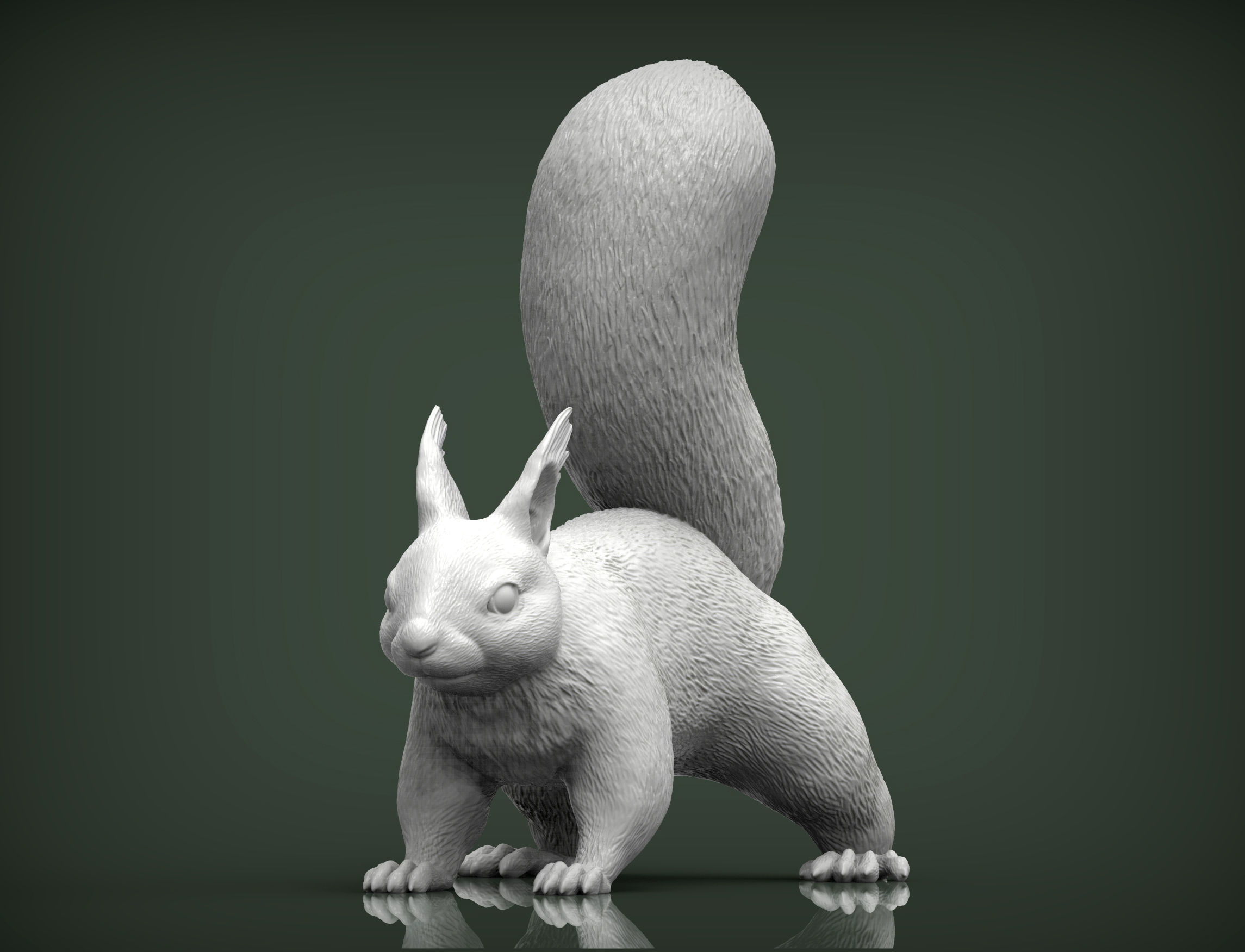 Squirrel 3D print model_5
