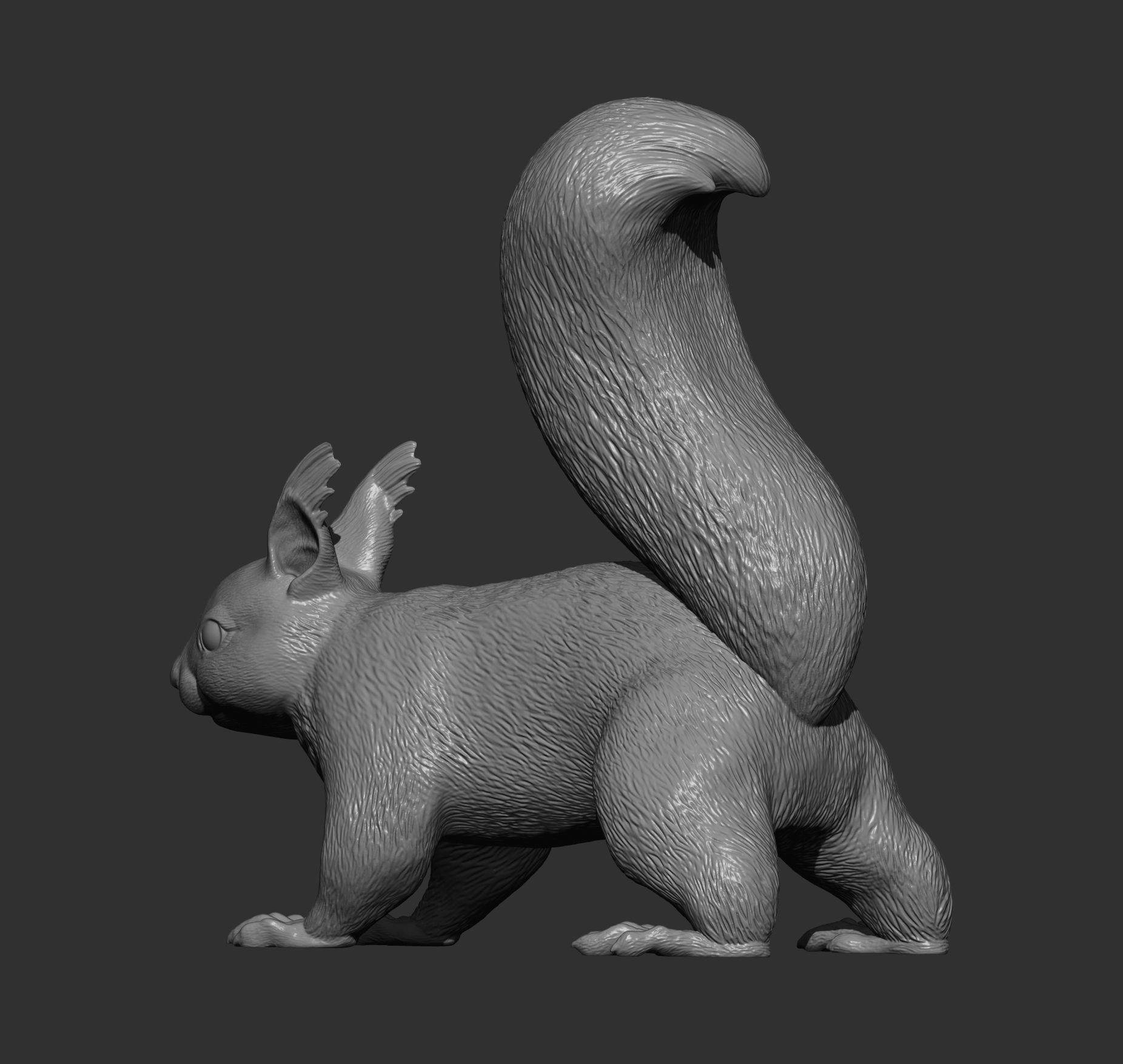 Squirrel 3D print model_8
