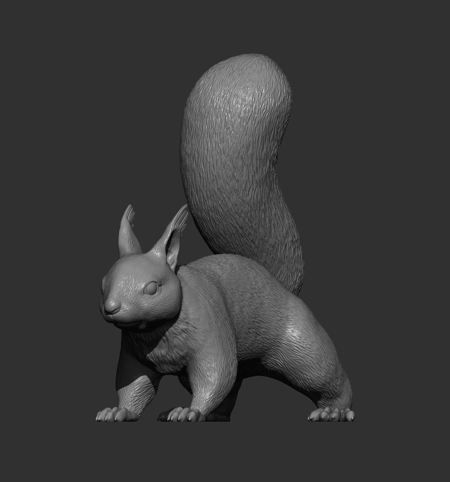 Squirrel 3D print model_12