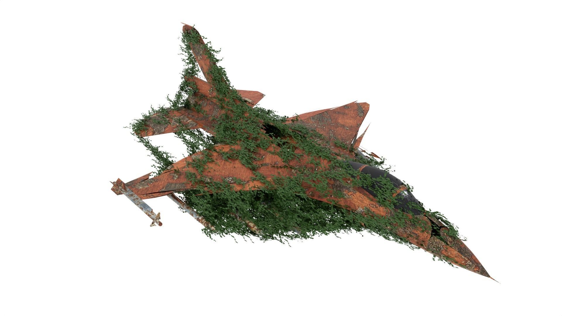 Damaged Rusted Jet 3D model_4