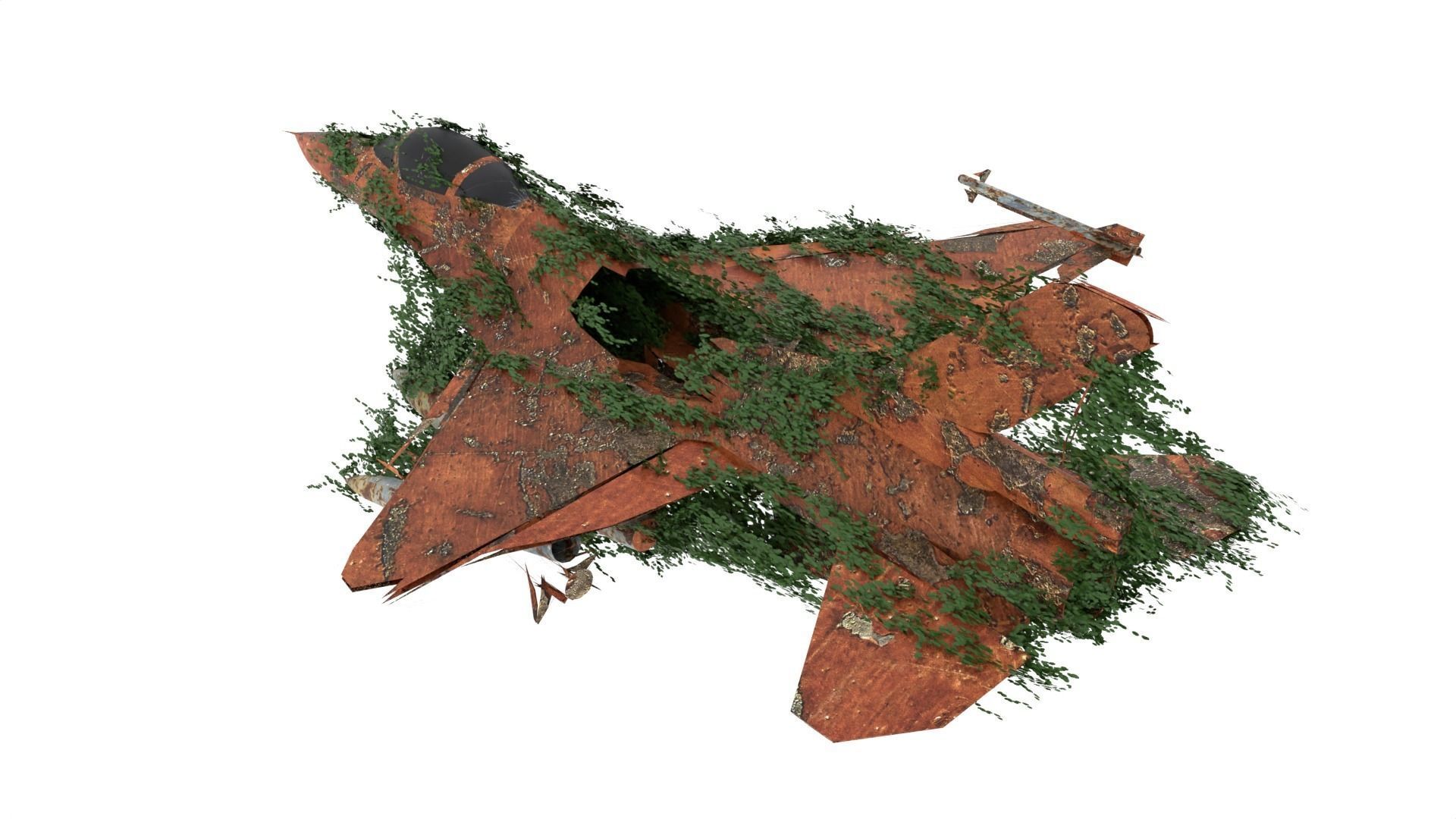 Damaged Rusted Jet 3D model_7