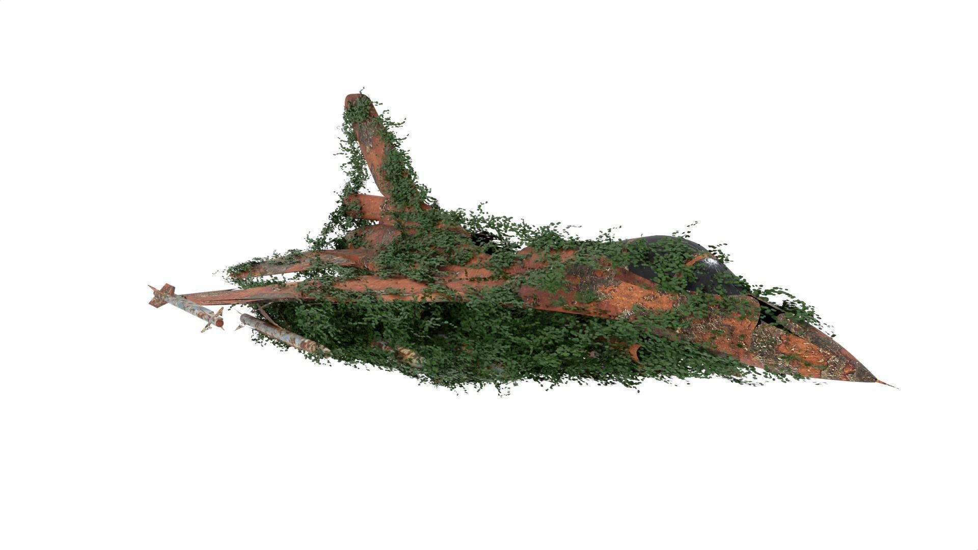 Damaged Rusted Jet 3D model_1