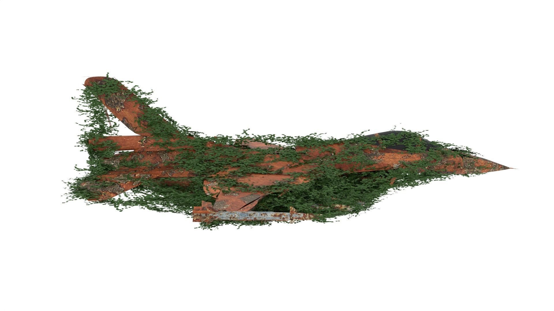 Damaged Rusted Jet 3D model_5