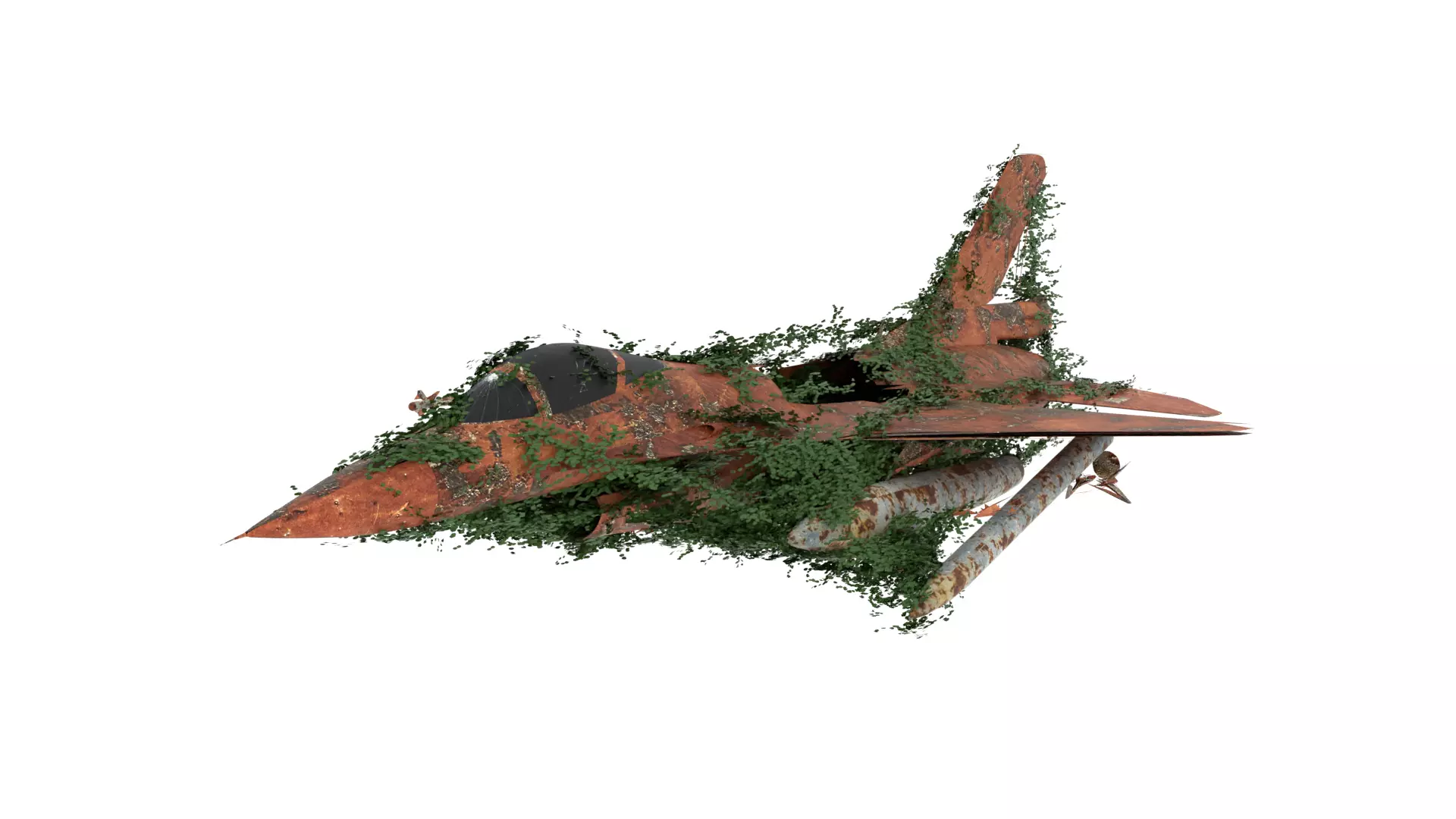 Damaged Rusted Jet 3D model_0