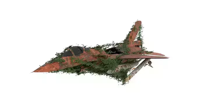 Damaged Rusted Jet 3D model