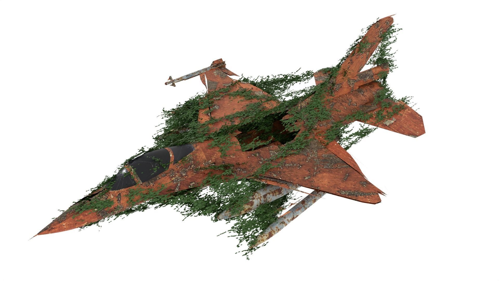 Damaged Rusted Jet 3D model_3