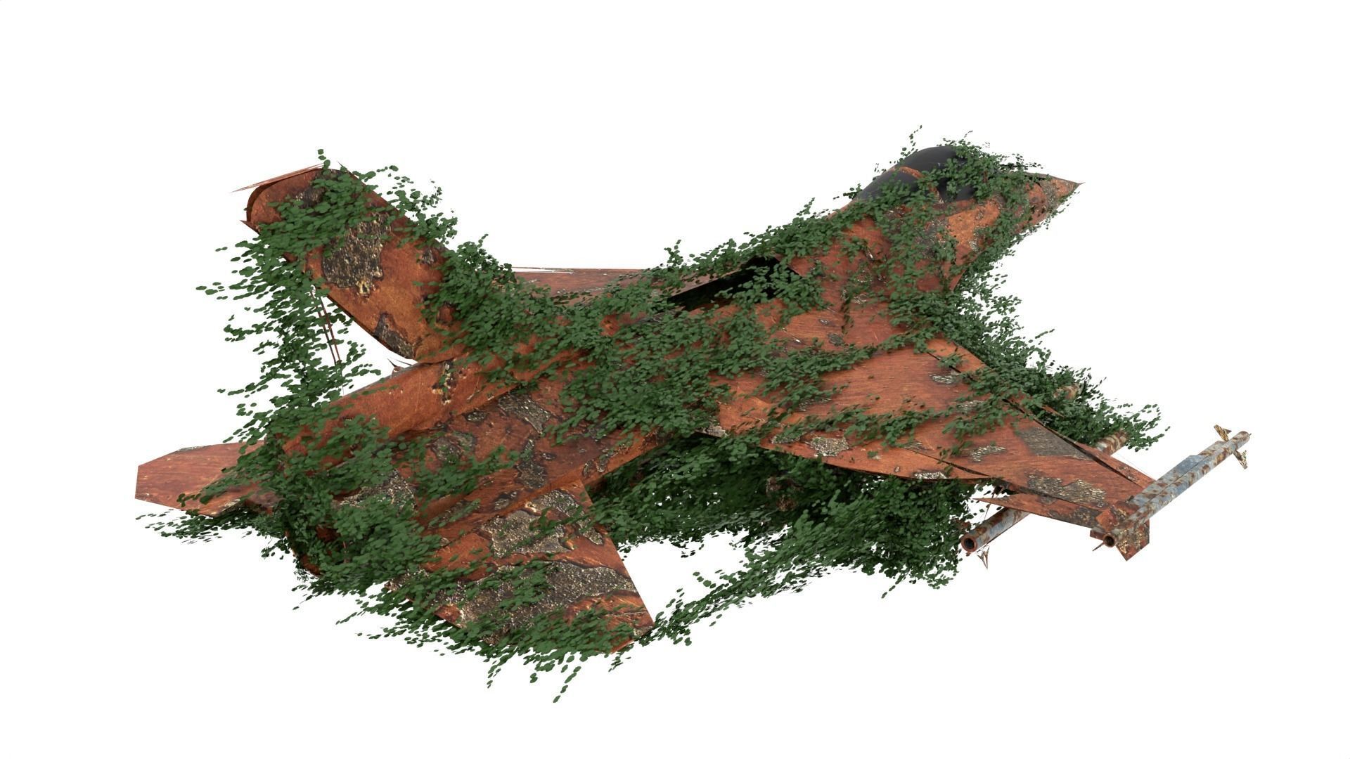 Damaged Rusted Jet 3D model_6