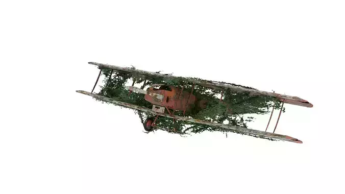 Damaged Rusted Aircraft 3D model