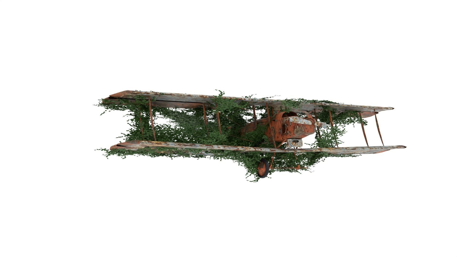 Damaged Rusted Aircraft 3D model_1