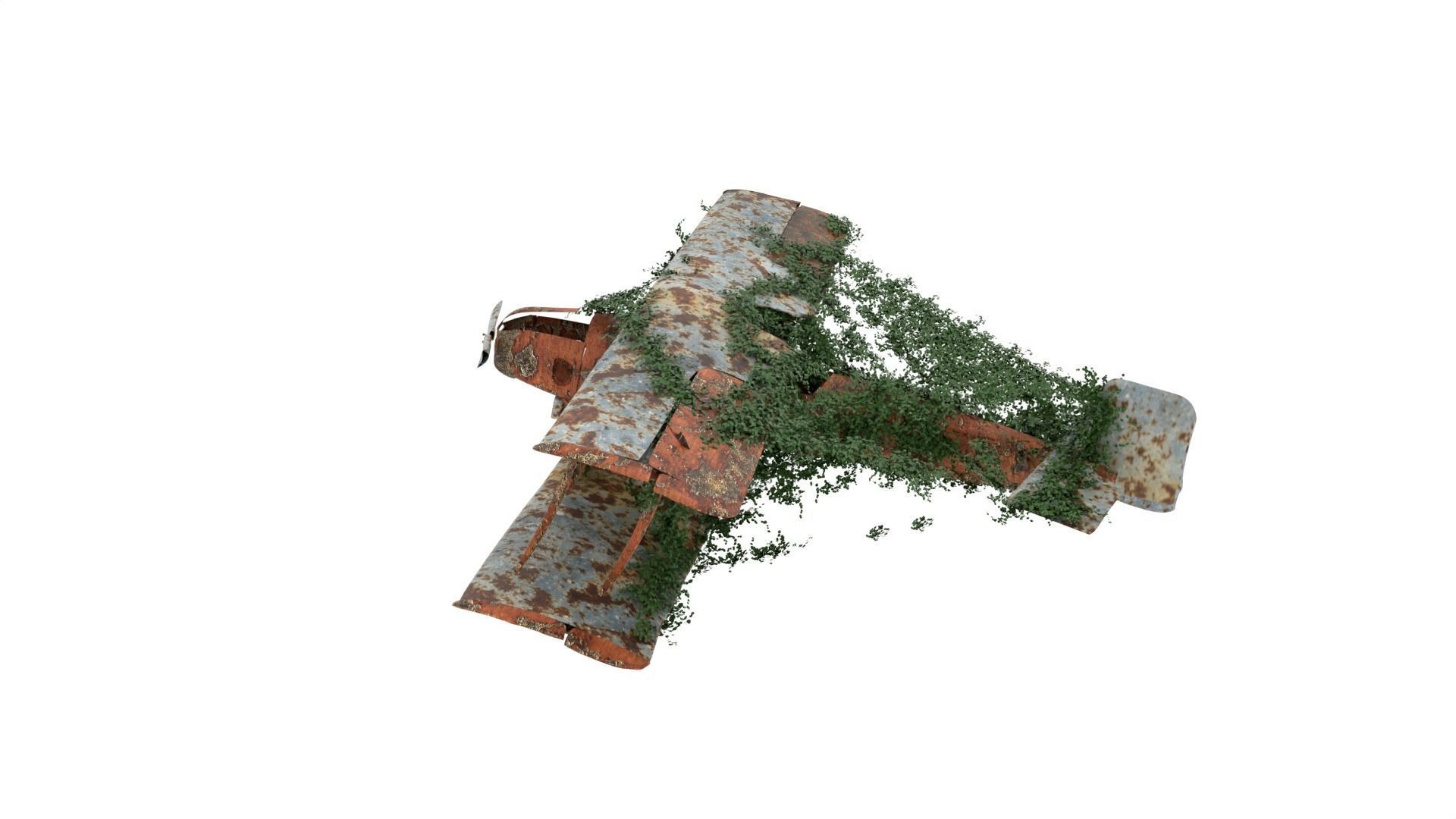 Damaged Rusted Aircraft 3D model_2