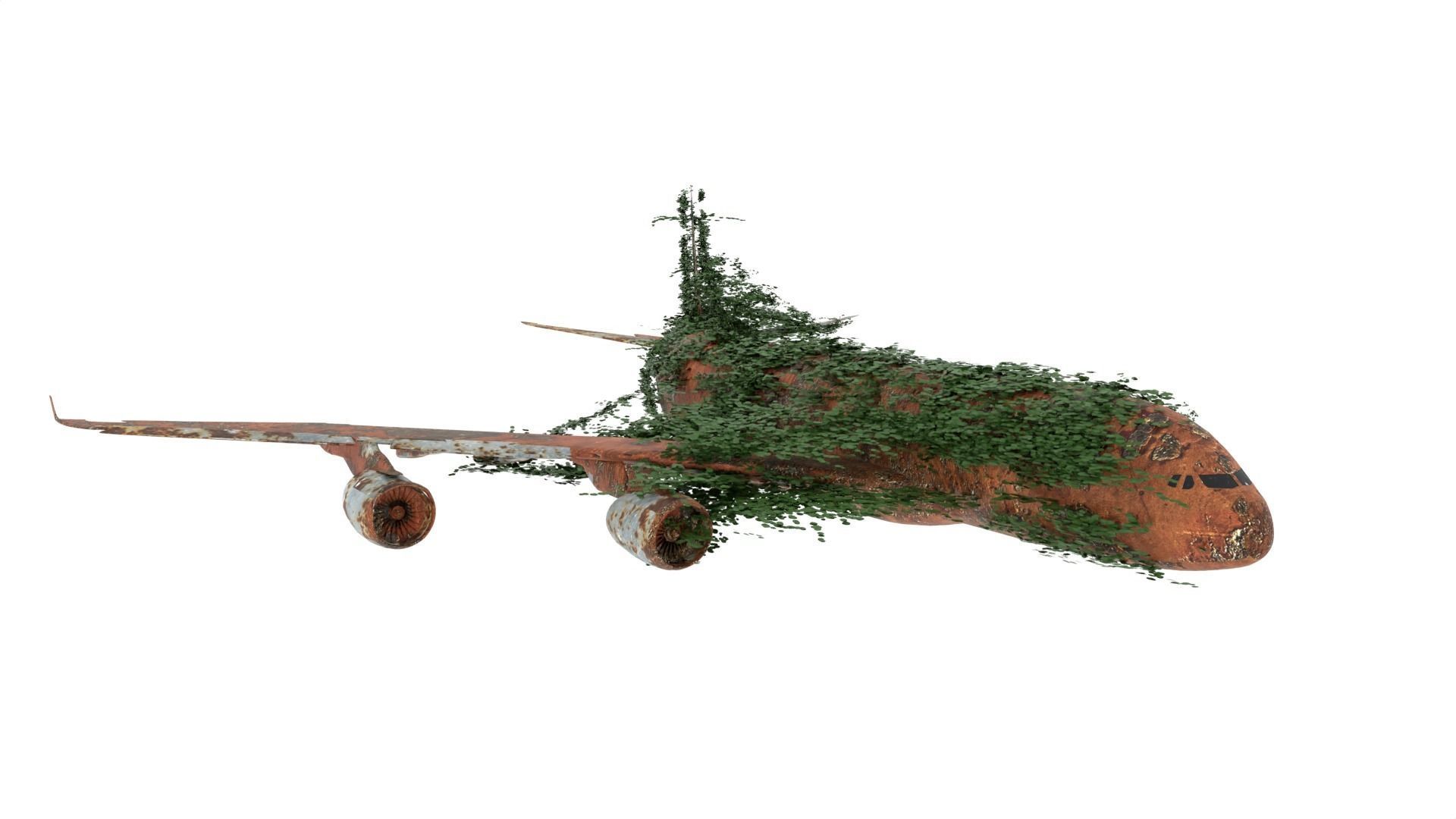 Damaged Rusted Airplane 3D model_1