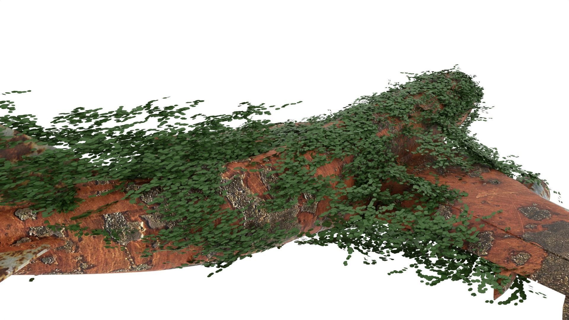 Damaged Rusted Airplane 3D model_6