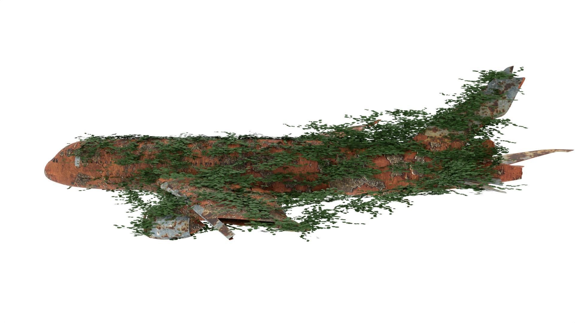 Damaged Rusted Airplane 3D model_2