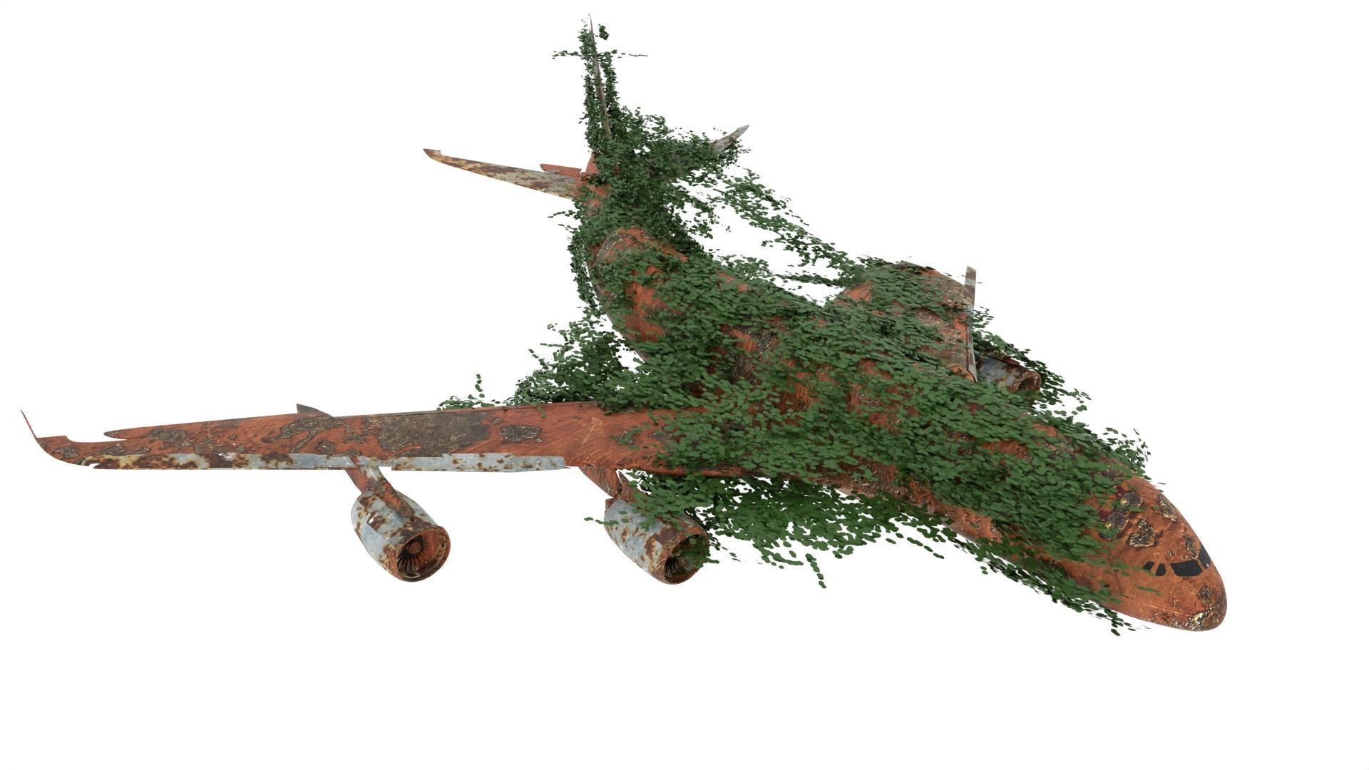 Damaged Rusted Airplane 3D model_4