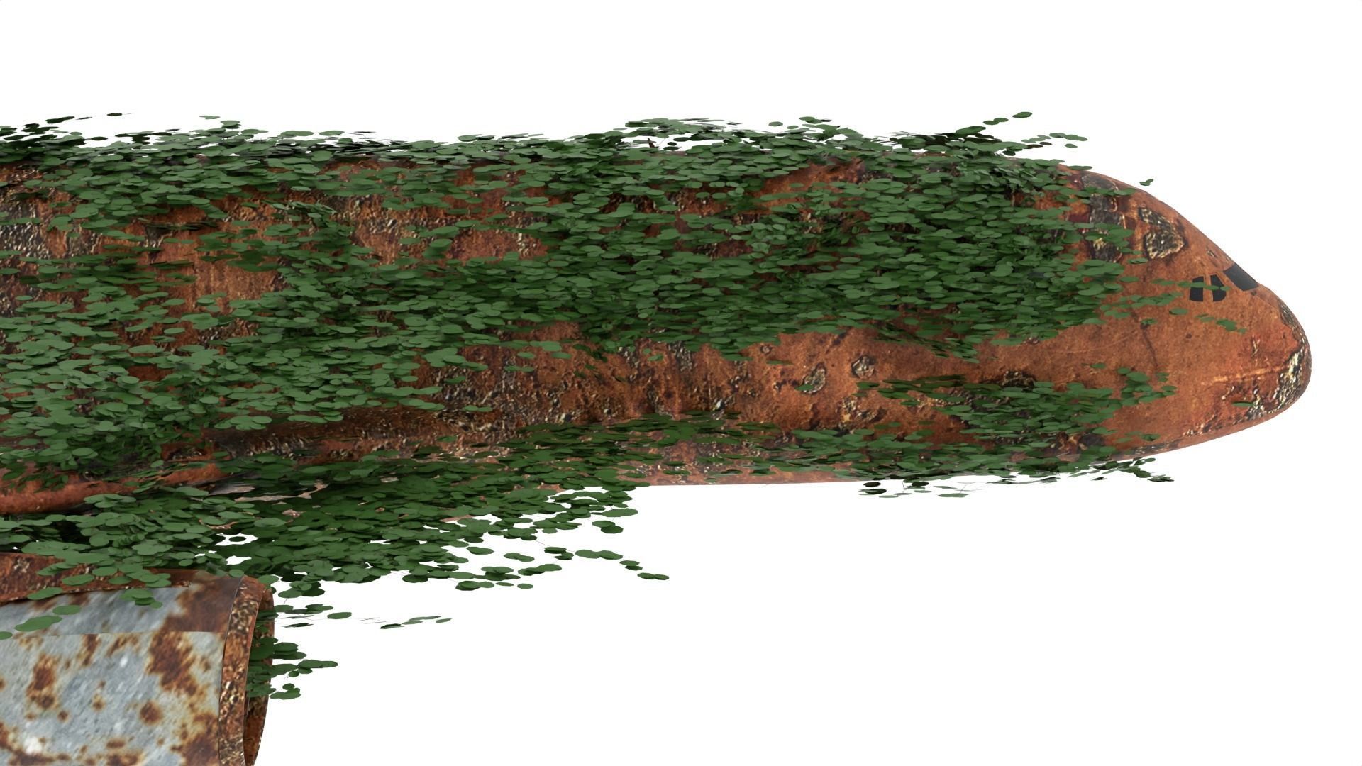 Damaged Rusted Airplane 3D model_5