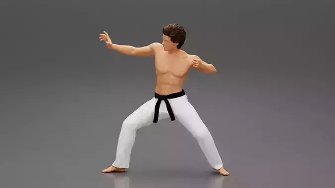 Karate man in a black belt