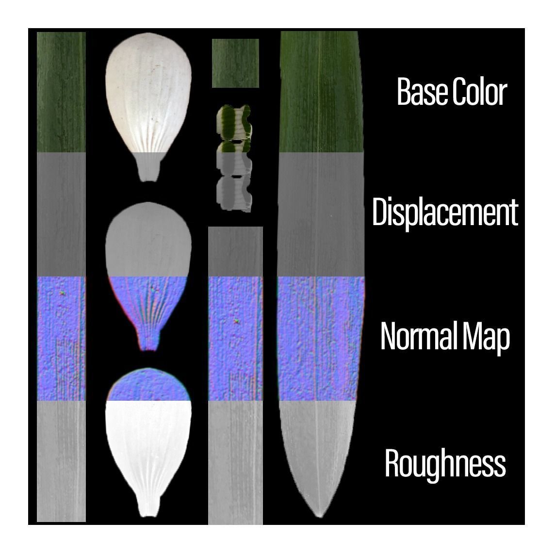 Snowdrop Spring Flower Galanthus Low-poly 3D model_5