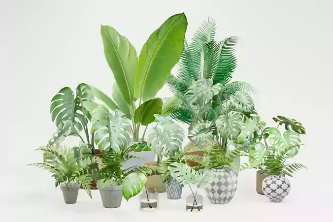 Plant Pack M03 Low-poly 3D model