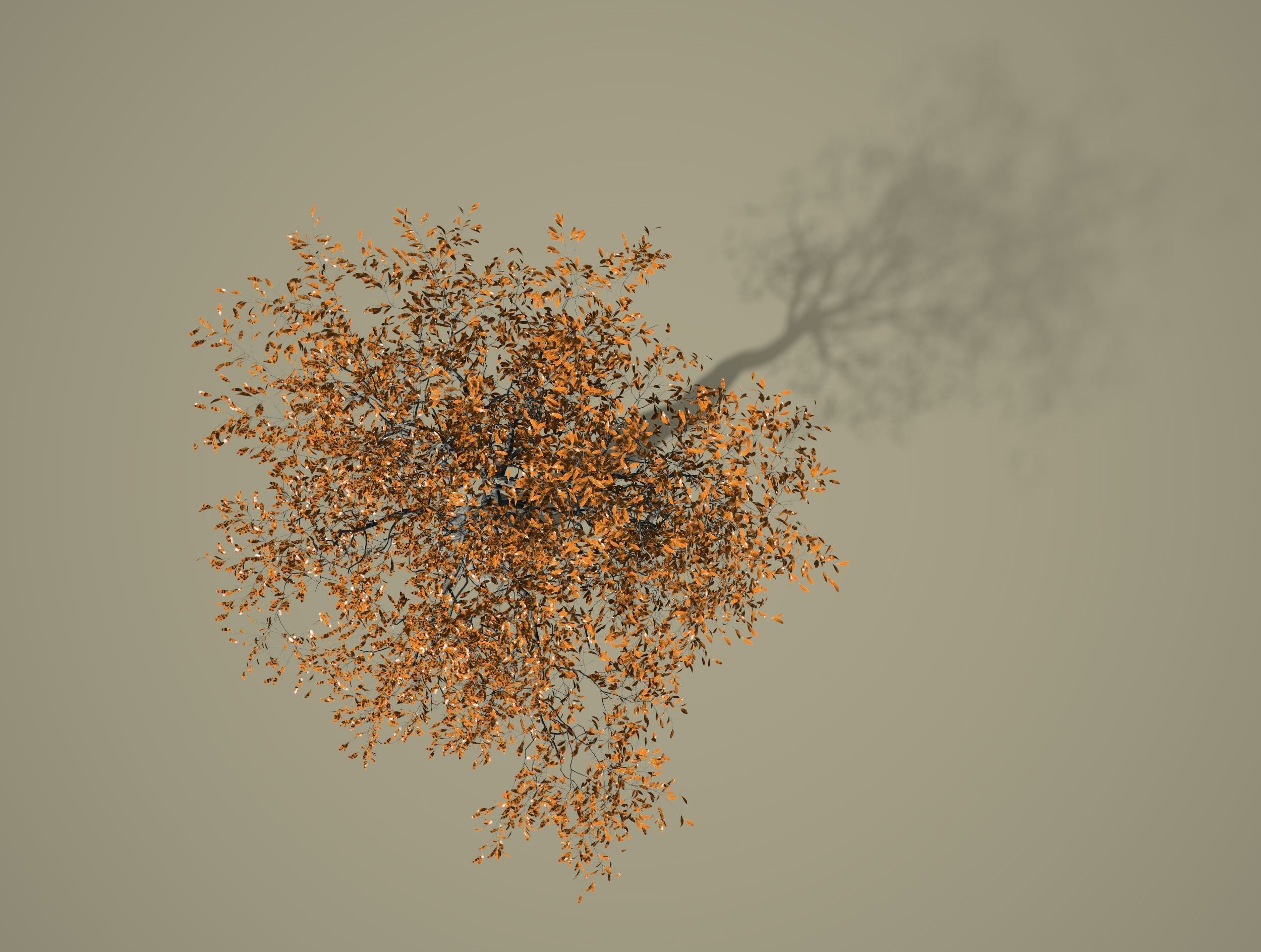 3D high quality trees in 3 mode season 3D model_11