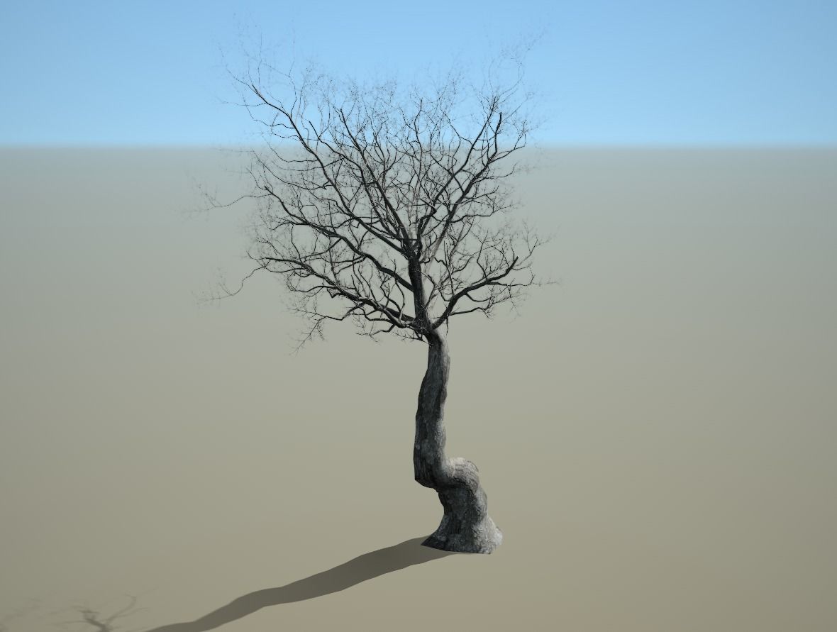 3D high quality trees in 3 mode season 3D model_2