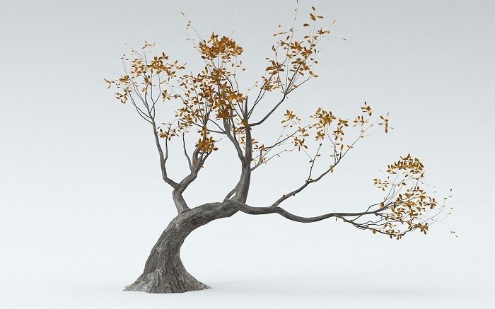 3D high quality trees in 3 mode season 3D model_8