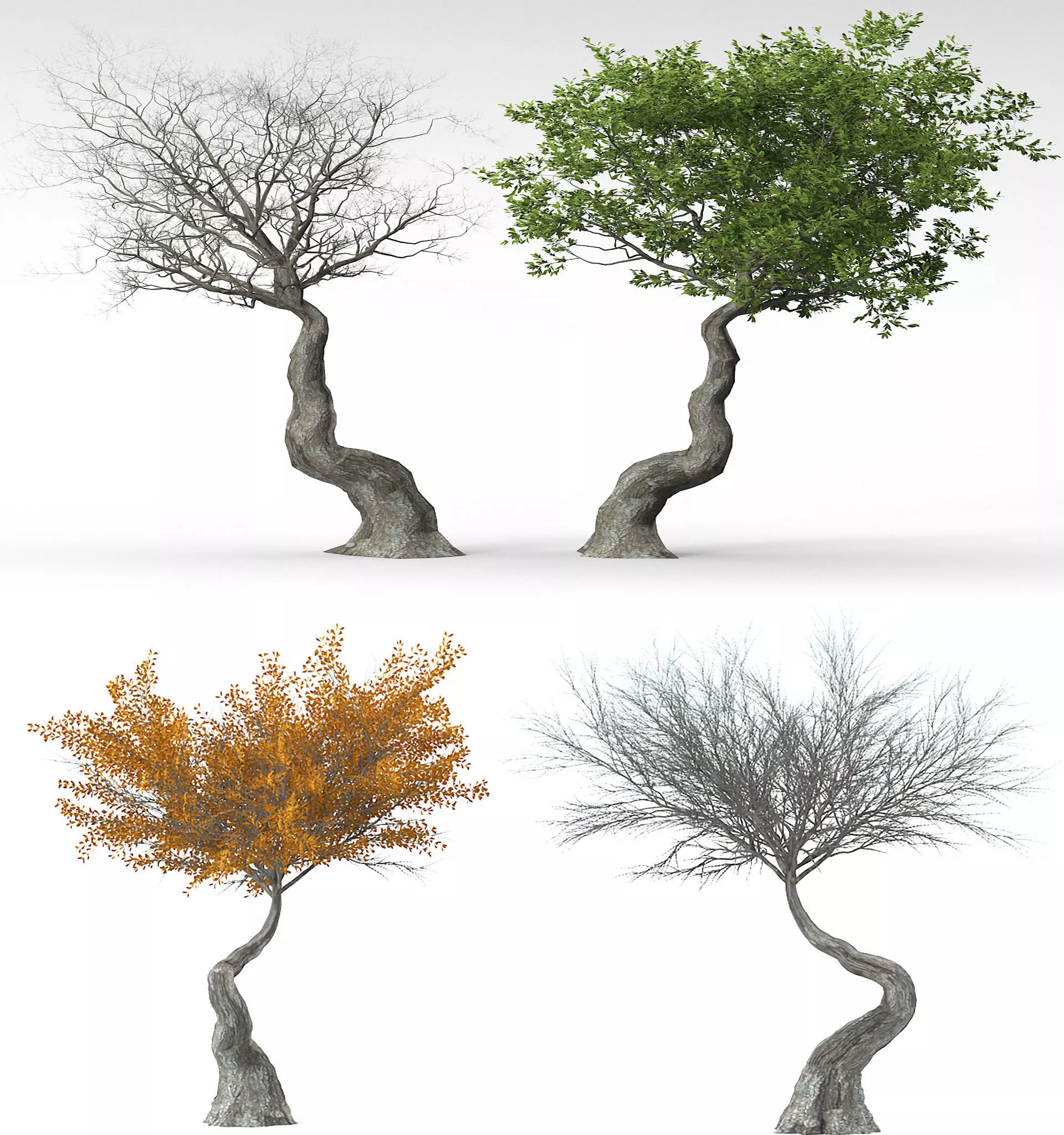 3D high quality trees in 3 mode season 3D model_0