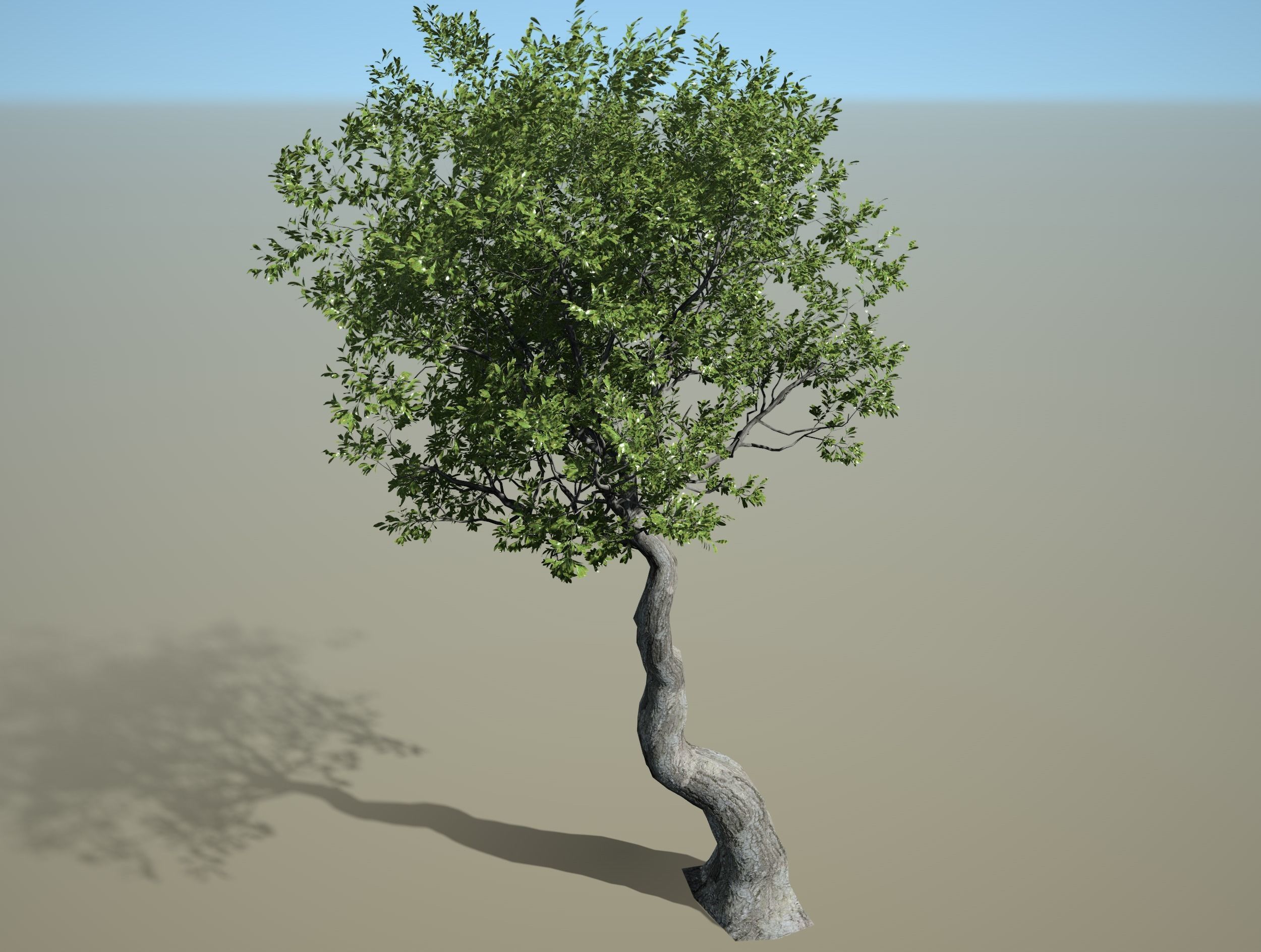 3D high quality trees in 3 mode season 3D model_4