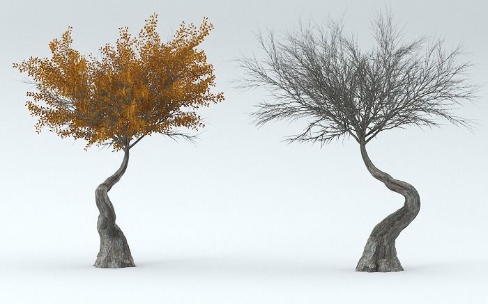 3D high quality trees in 3 mode season 3D model_6