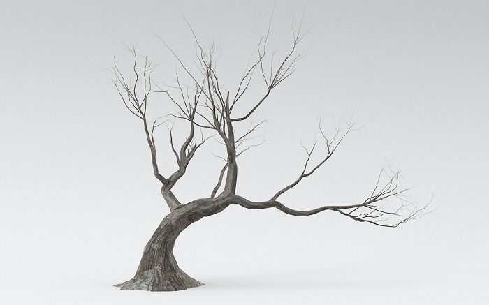 3D high quality trees in 3 mode season 3D model_7