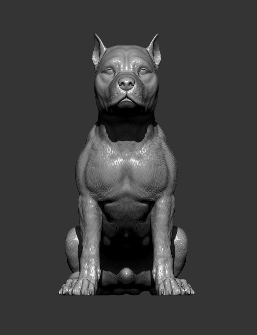 American Staffordshire Terrier 3D print model_8