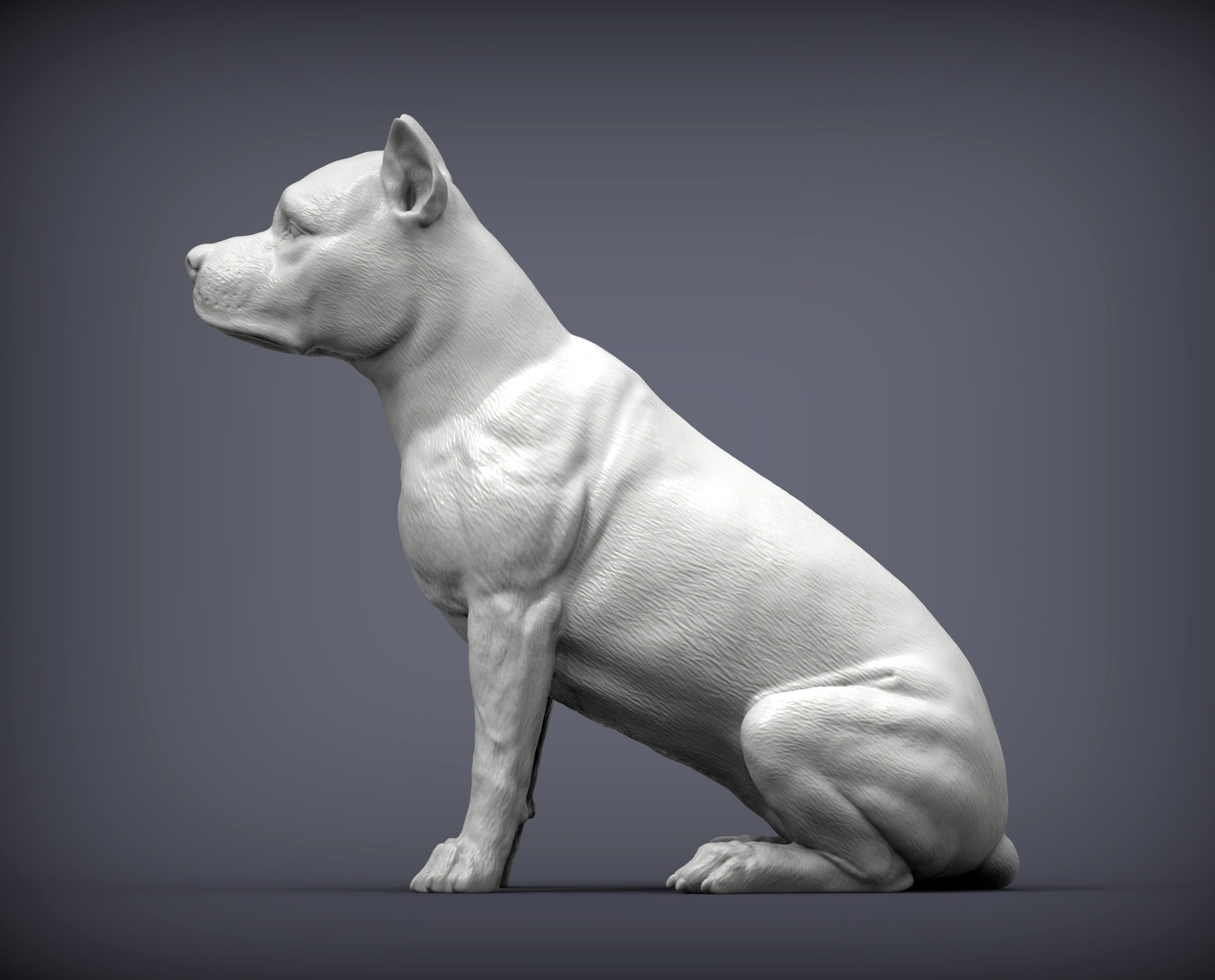 American Staffordshire Terrier 3D print model_2