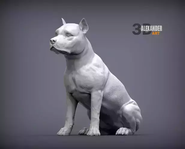 American Staffordshire Terrier