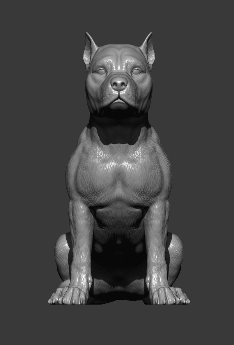 American Staffordshire Terrier 3D print model_7