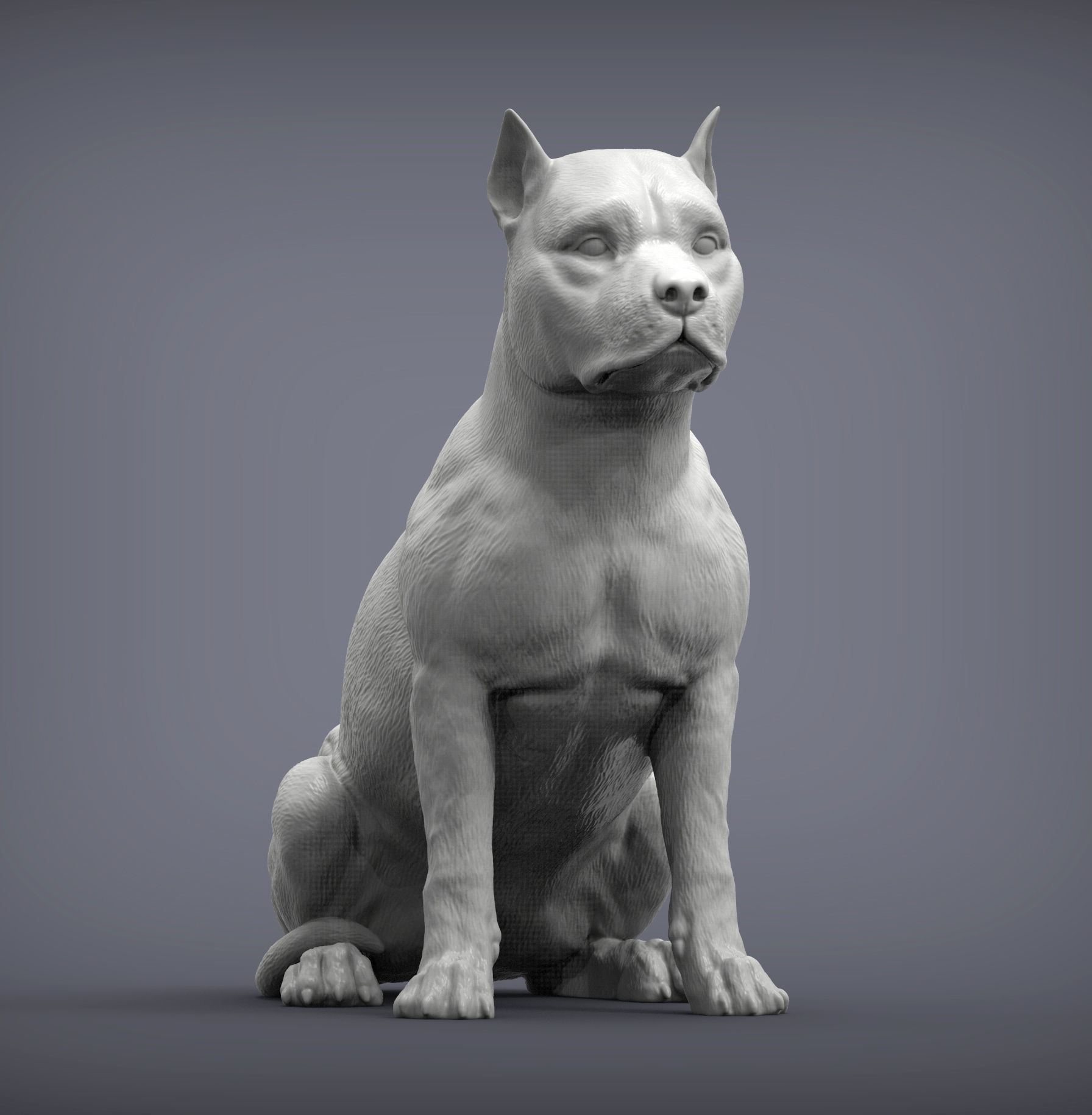 American Staffordshire Terrier 3D print model_3
