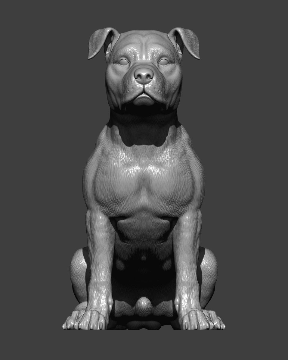 American Staffordshire Terrier 3D print model_10
